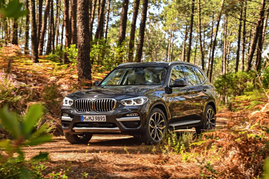  BMW X3 xDrive30d xLine (G01) 2017 года  (WW) (фото 101 из 178)